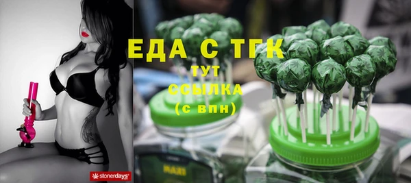 прущие грибы Лабытнанги